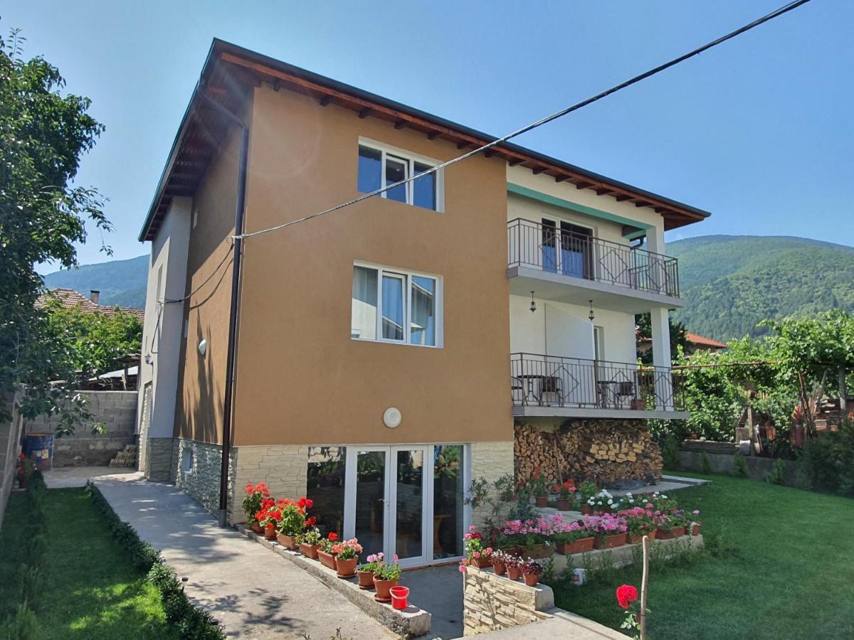 Дамяновата Къща Hotel Sapareva Banya Buitenkant foto