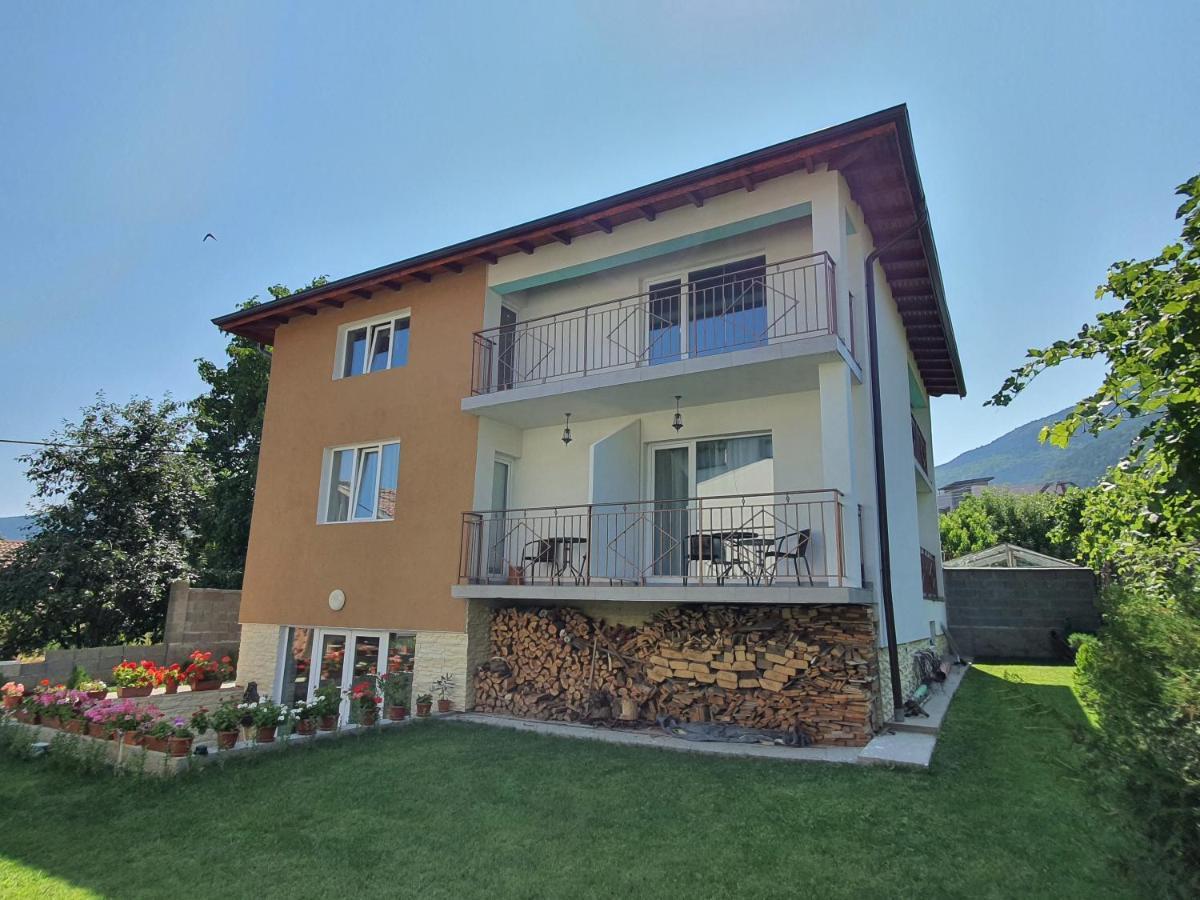 Дамяновата Къща Hotel Sapareva Banya Buitenkant foto